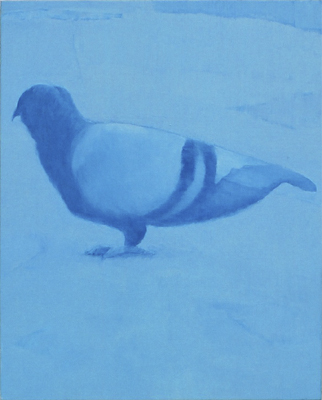 pigeon02