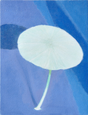 Mushroom,2007